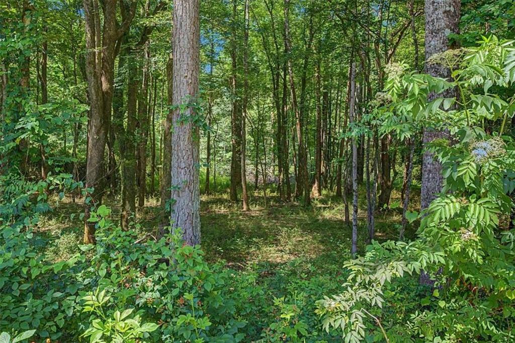 1381 Star Point Road Carrollton, GA 30116 - Photo 48 of 50 Gallery Image 48