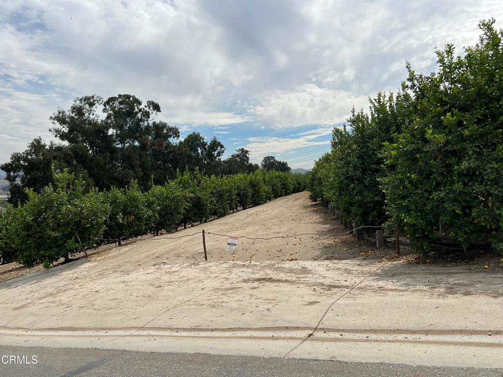 0 Ventavo Road Moorpark, CA 93021 - Photo 23 of 24 IMG_3824