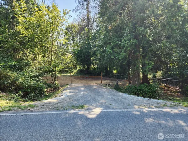 a view of a street with a tree