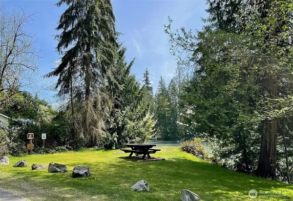 a view of a park with large trees