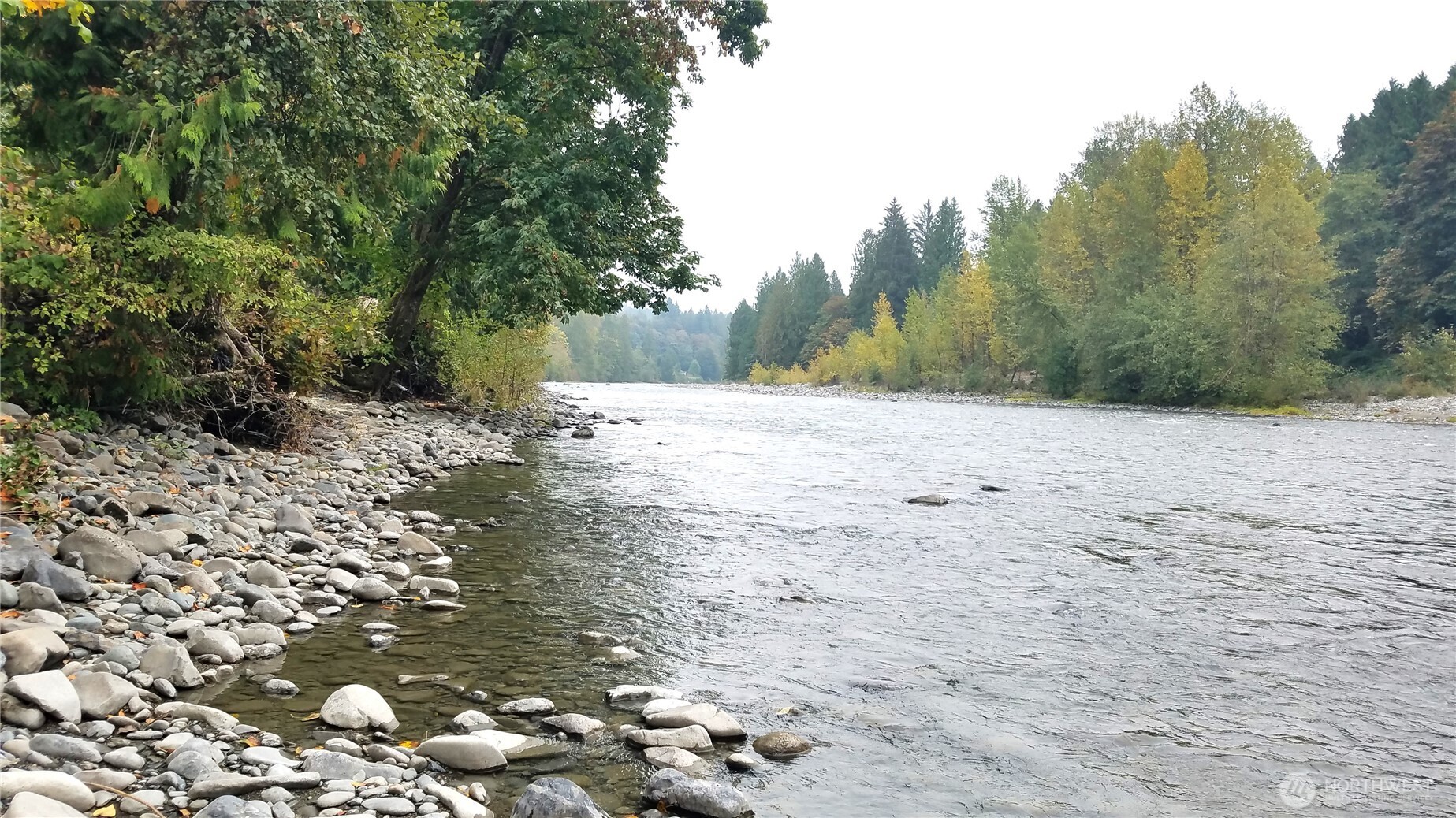 12114 Jordan Road Arlington, WA 98223 - Photo 17 of 19 a view of dirt yard with trees