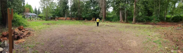 a view of a tree in a park