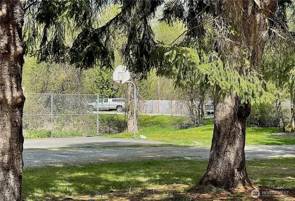 a view of a garden with a tree