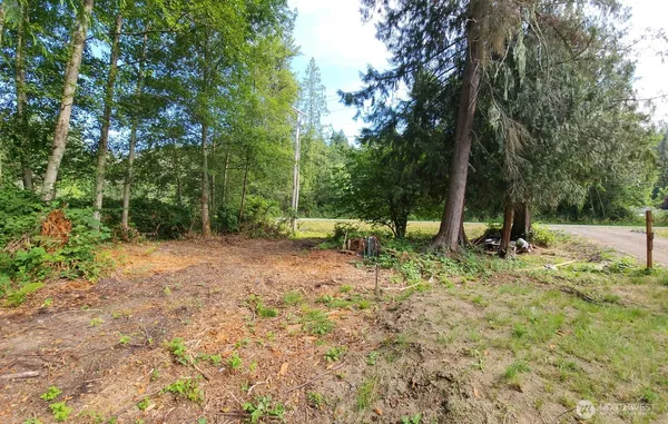 a view of backyard with green space
