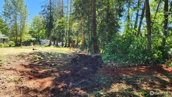 a view of a yard with plants and trees
