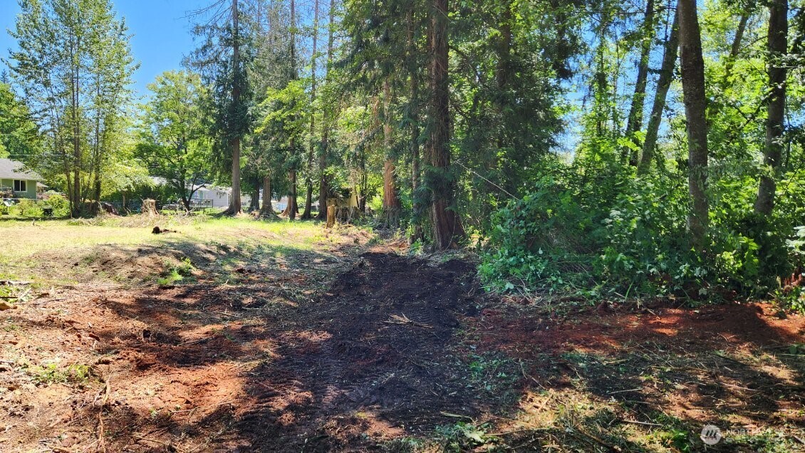 12114 Jordan Road Arlington, WA 98223 - Photo 8 of 19 a view of a yard with plants and trees