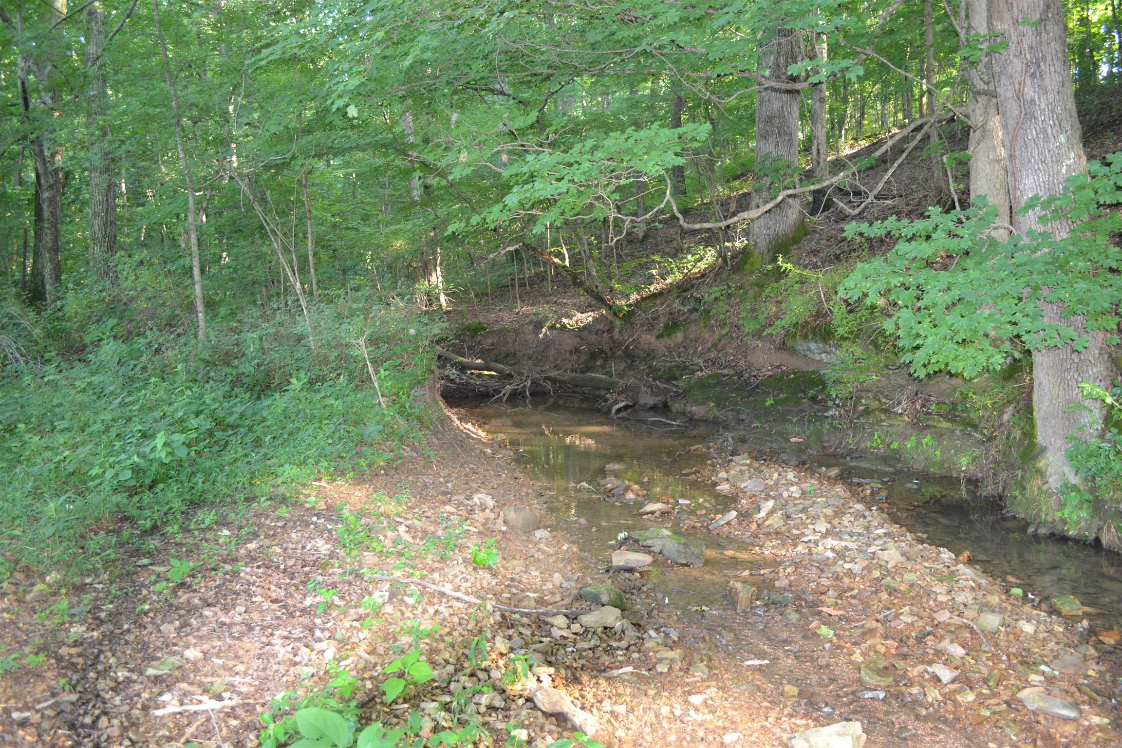 2832 Logan Road Greenbrier, TN 37073 - Photo 1 of 24 Gallery Image 1