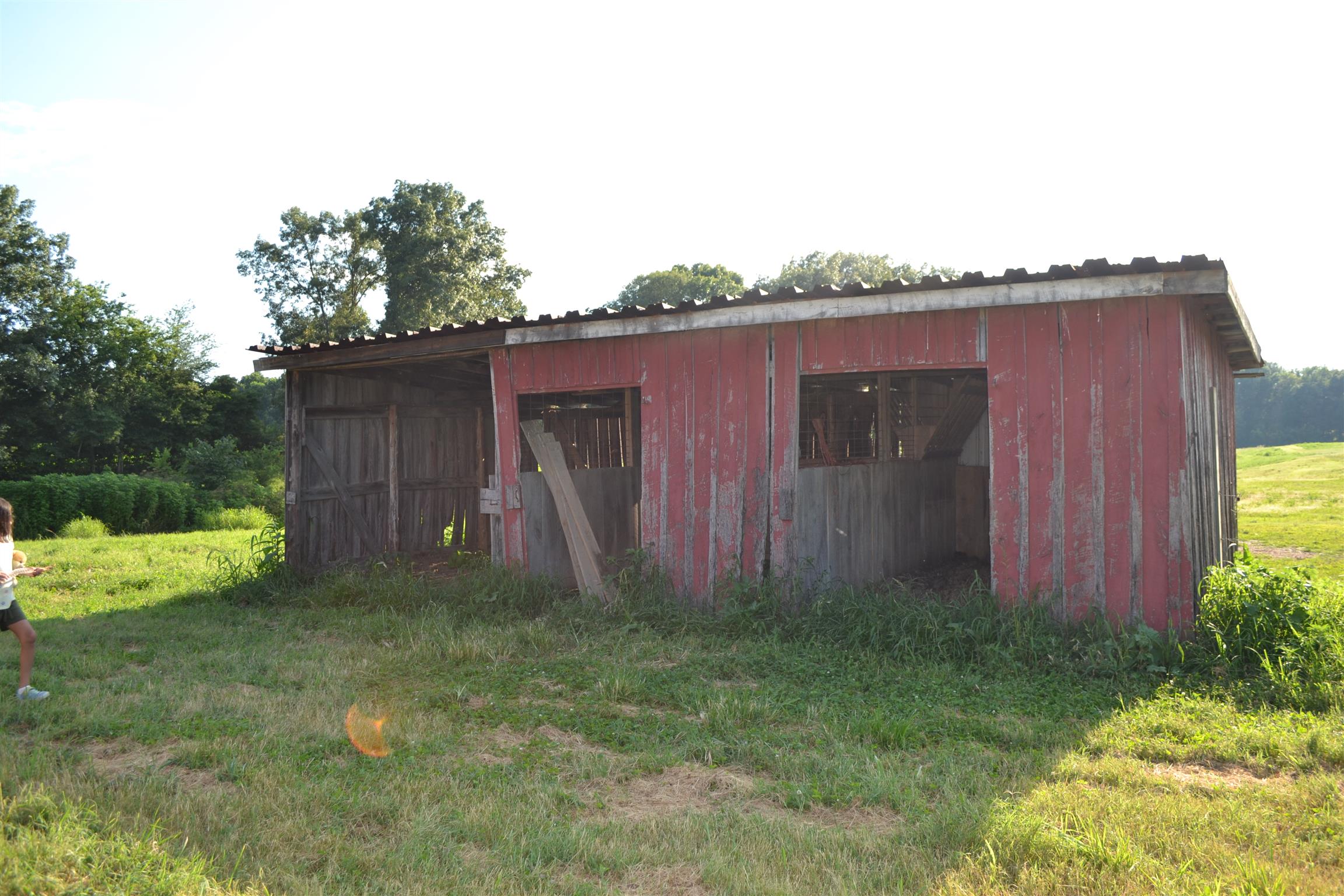 2832 Logan Road Greenbrier, TN 37073 - Photo 15 of 24 Gallery Image 15