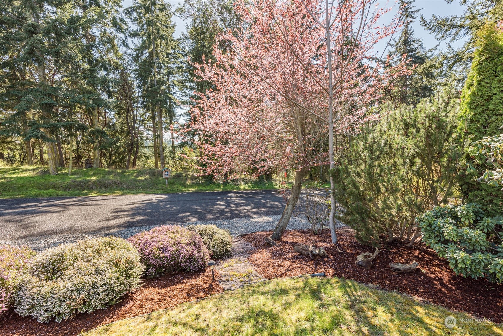 653 Brigadoon Boulevard Sequim, WA 98382 - Photo 39 of 40 a backyard of a house with large trees