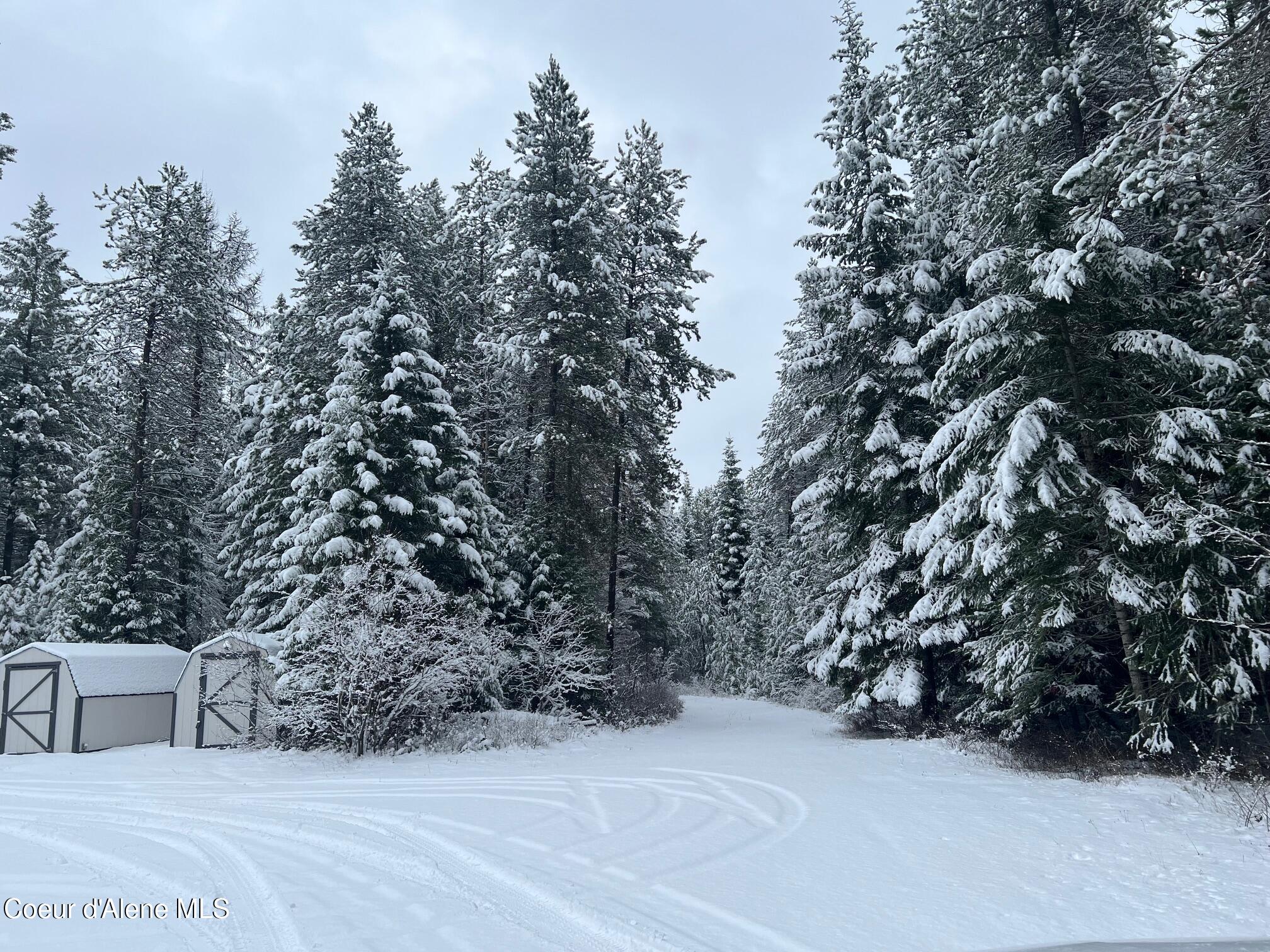 511 Rocky Mountain Ranch Road Spirit Lake, ID 83869 - Photo 8 of 37 IMG_6652