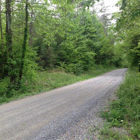 Acreage Spring Creek Road Reliance, TN 37369 - Photo 7 of 10 Spring Creek 3