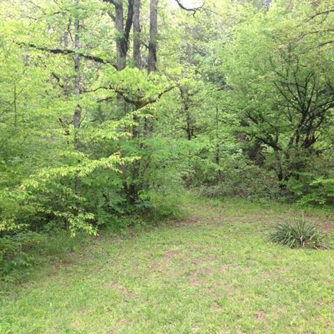 Acreage Spring Creek Road Reliance, TN 37369 - Photo 8 of 10 Spring Creek 5