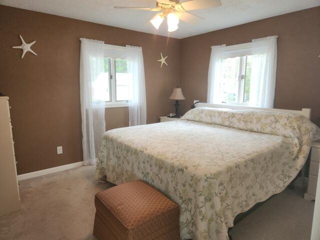 1788 Beaver Road Bitely, MI 49309 - Photo 10 of 36 20250515_164223