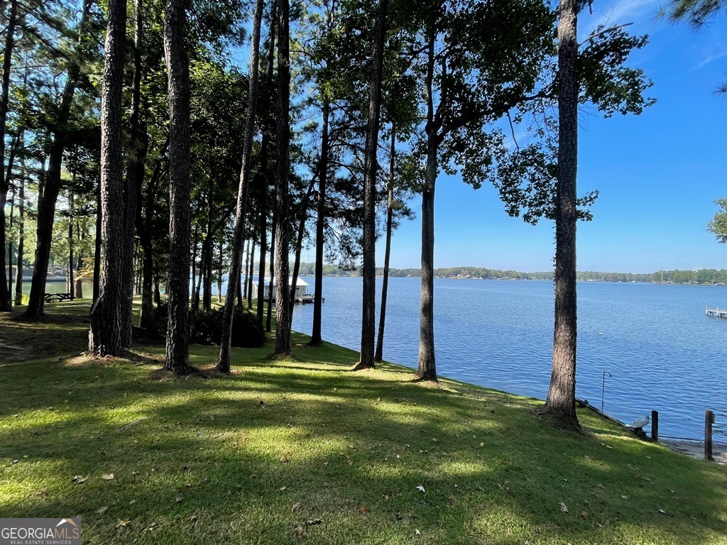 434 Dwain Ball Road Sparta, GA 31087 - Photo 44 of 44