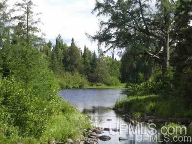 77-acres 77-acres Net River Dam Road Covington, MI 49919 - Photo 2 of 39