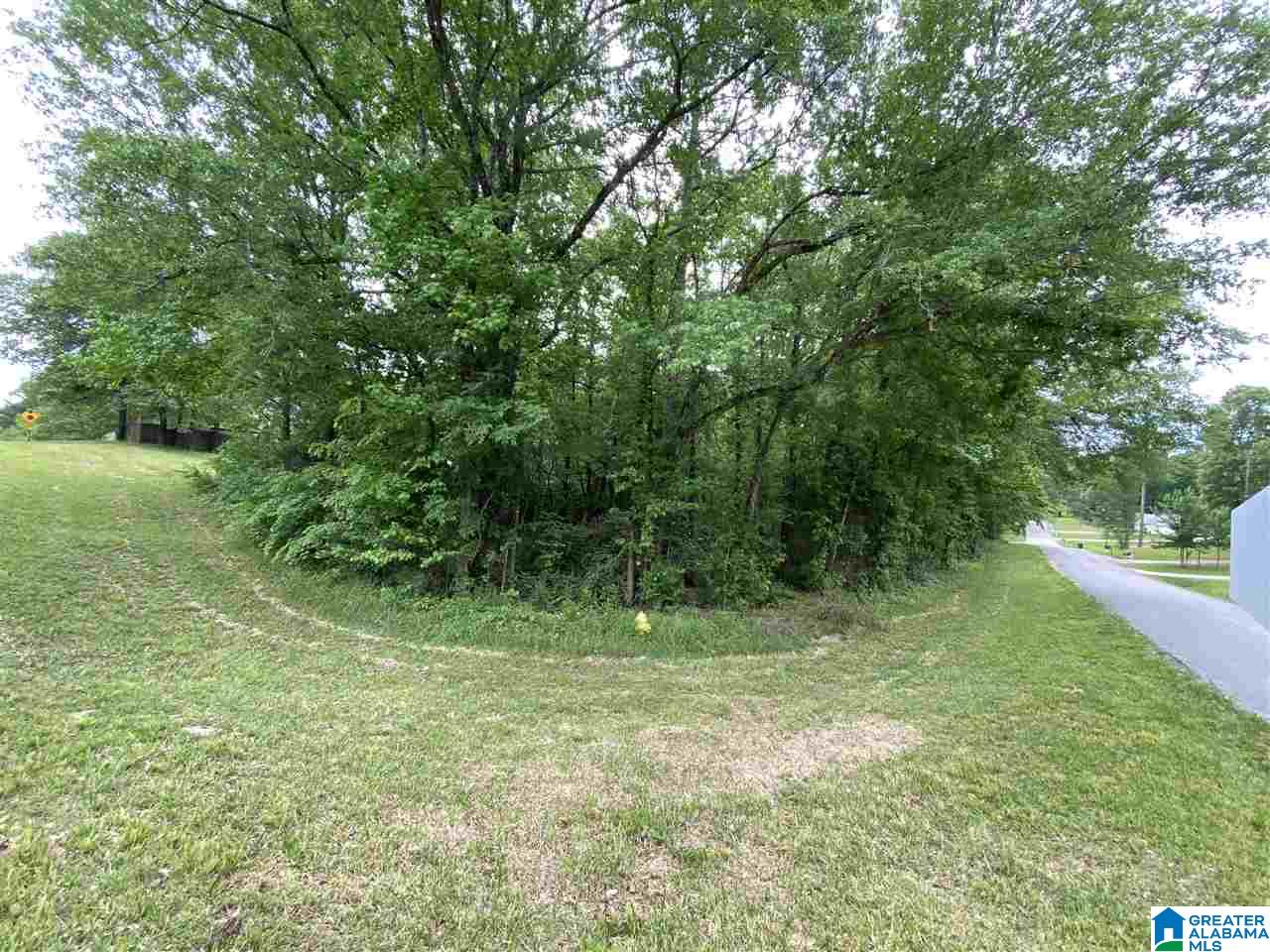 0 2nd Avenue, Unit 95 Calera, AL 35040 - Photo 5 of 6