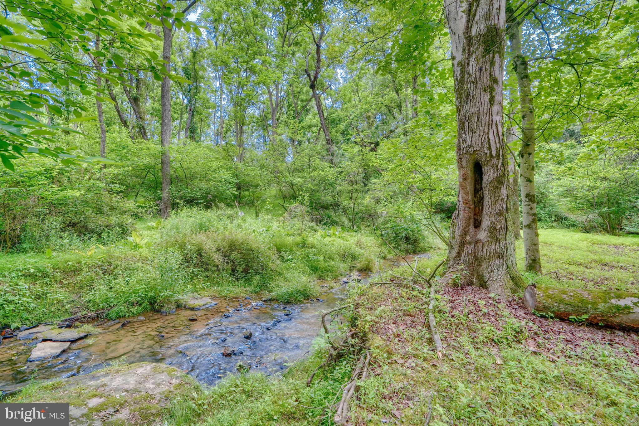 624 Woolen Mill Road Stewartstown, PA 17363 - Photo 58 of 70 Gallery Image 58