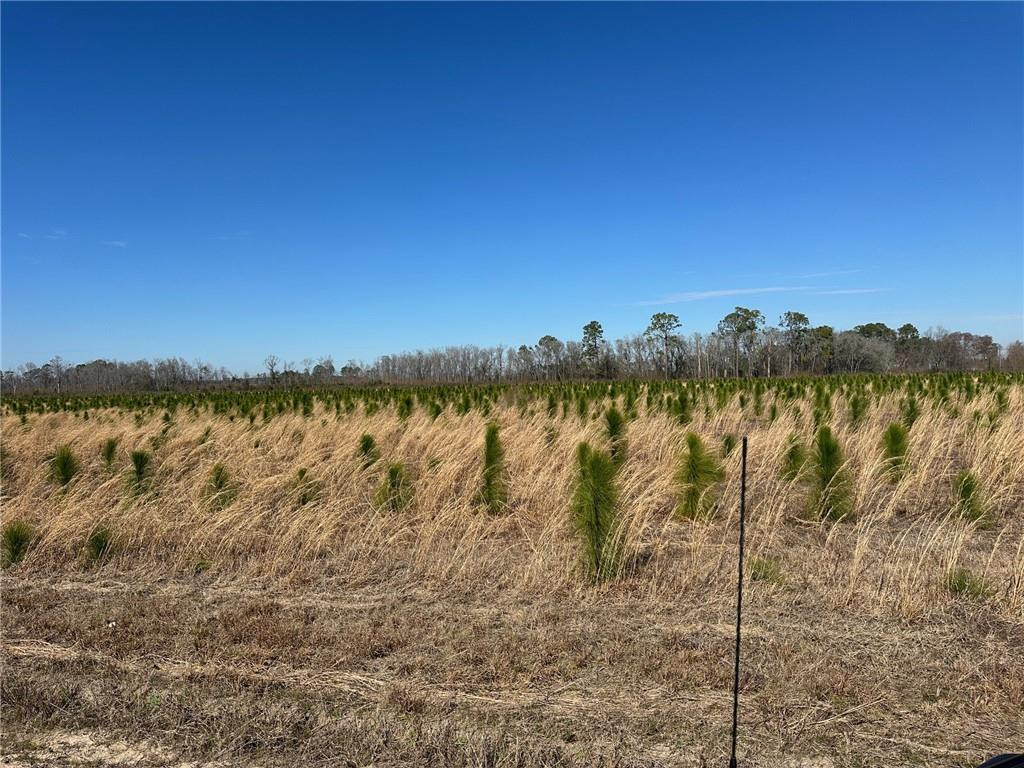 12 Sellers Road Northwest Baxley, GA 31513 - Photo 9 of 9