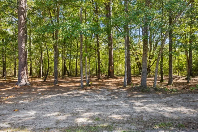 $650,000 | 5568 Jenks Mongomery Road, Ravenel, SC 29470