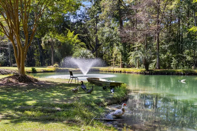 $650,000 | 5568 Jenks Mongomery Road, Ravenel, SC 29470