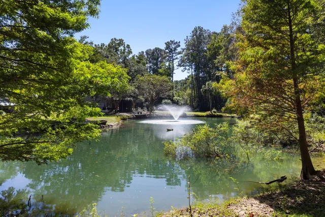 $650,000 | 5568 Jenks Mongomery Road, Ravenel, SC 29470