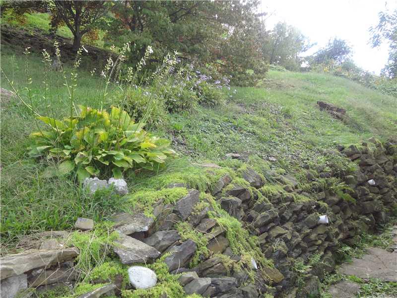 344 3rd Street Webster, PA 15087 - Photo 17 of 18 Yard/Garden.