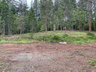 1782 Rounds Avenue Grants Pass, OR 97527 - Photo 4 of 9 2