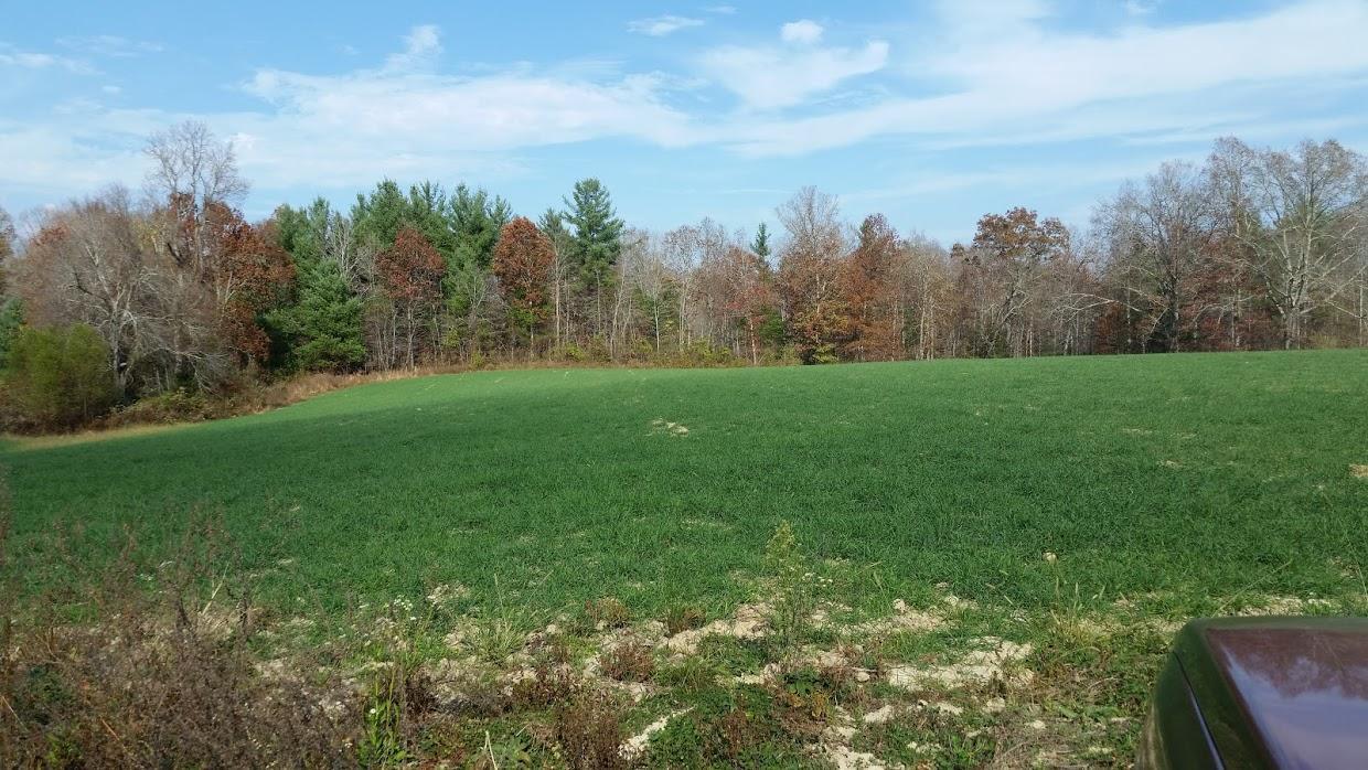 20.66-ac Rome Road Lancing, TN 37770 - Photo 7 of 14 20171106212532817328000000-o