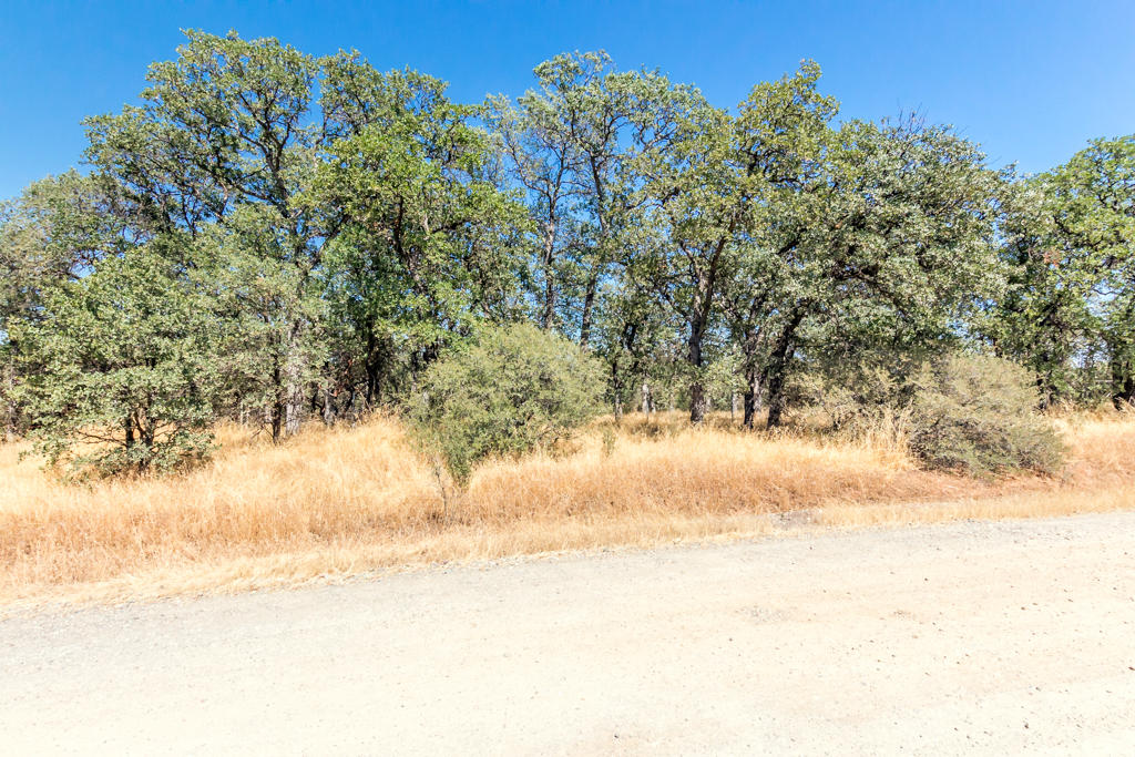 Heitman Road Cottonwood, CA 96022 - Photo 1 of 10 002