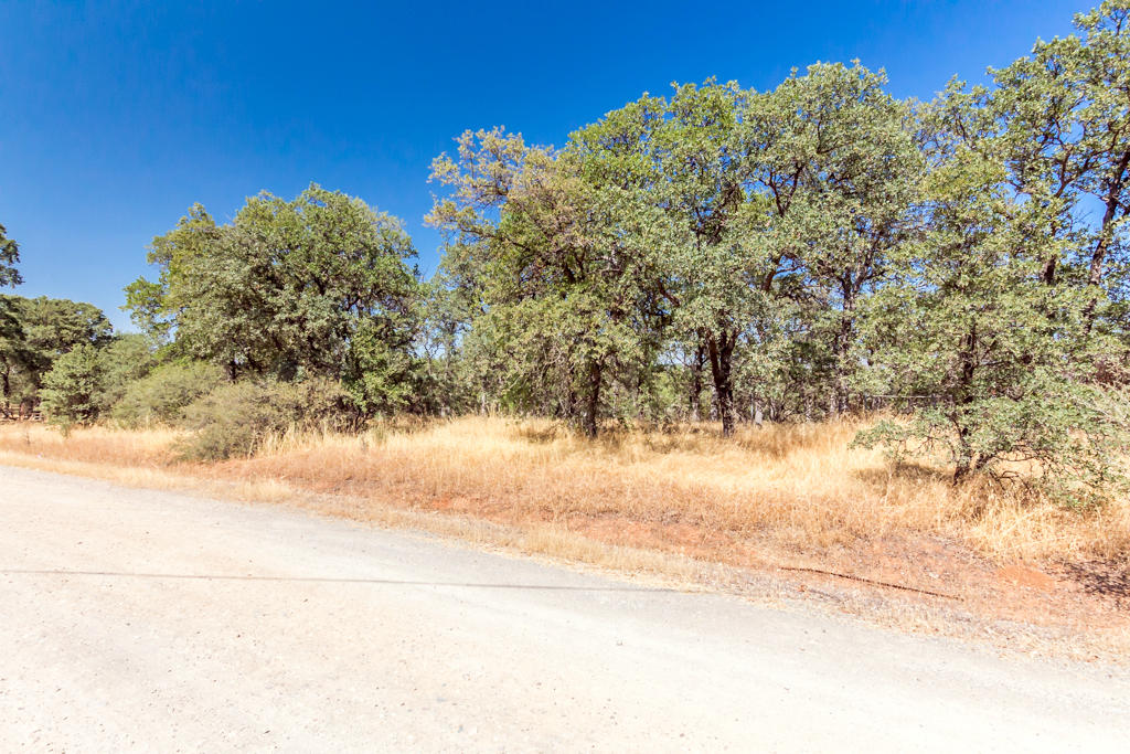 Heitman Road Cottonwood, CA 96022 - Photo 3 of 10 003