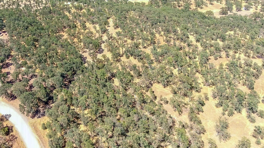 Heitman Road Cottonwood, CA 96022 - Photo 5 of 10 aerial1