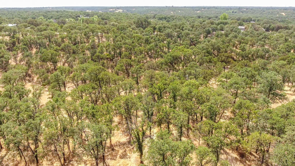 Heitman Road Cottonwood, CA 96022 - Photo 6 of 10 aerial2