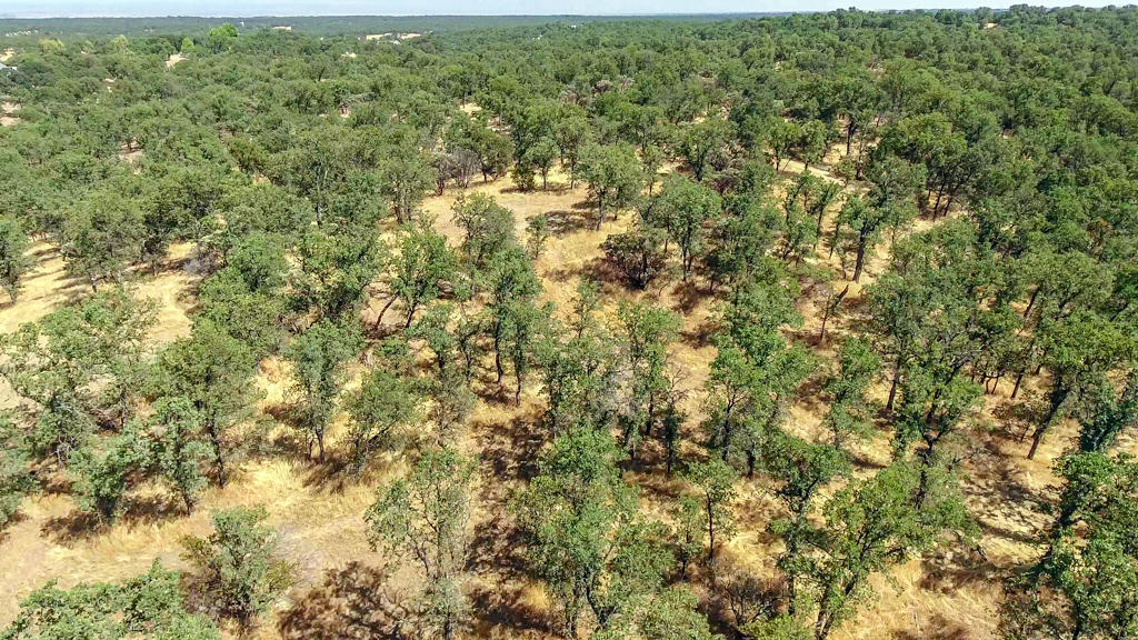 Heitman Road Cottonwood, CA 96022 - Photo 7 of 10 aerial3