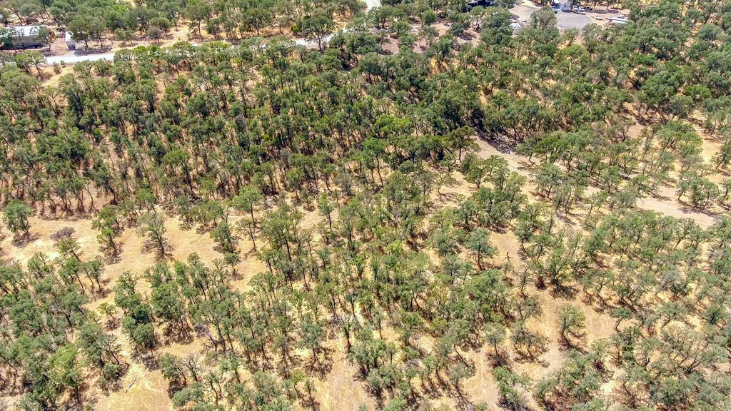 Heitman Road Cottonwood, CA 96022 - Photo 8 of 10 aerial4