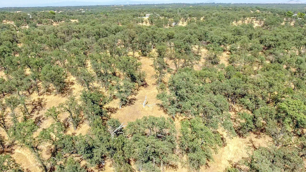 Heitman Road Cottonwood, CA 96022 - Photo 9 of 10 aerial5