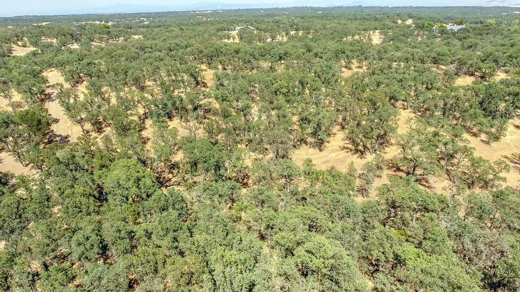 Heitman Road Cottonwood, CA 96022 - Photo 10 of 10 aerial6