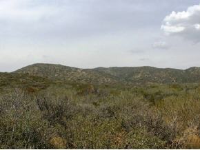 17580 East Roper Way Dewey, AZ 86327 - Photo 1 of 7 Primary Photo