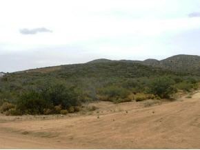 17580 East Roper Way Dewey, AZ 86327 - Photo 2 of 7 Additional Photo