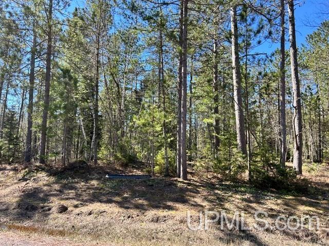 61 Little Rice Lk Road Lake Linden, MI 49945 - Photo 24 of 29