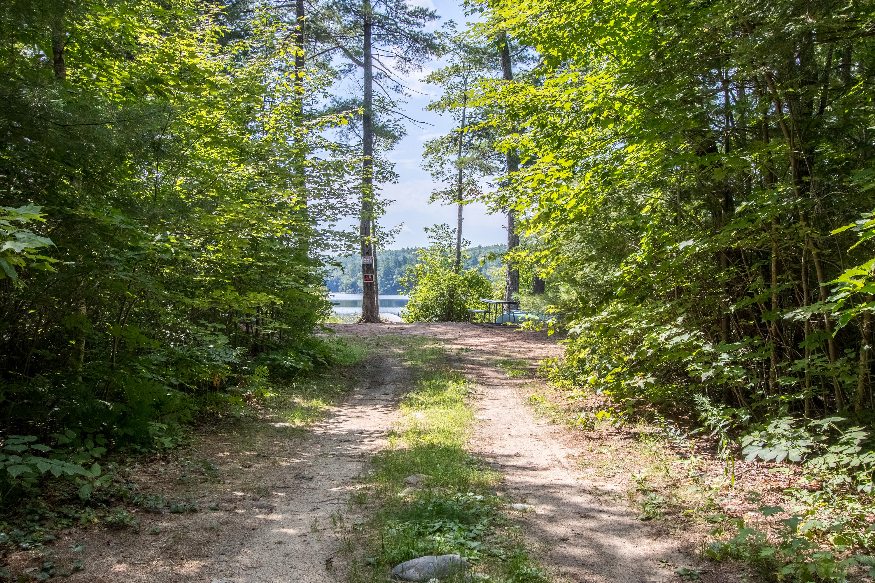 101 North Shore Road Gray, ME 04039 - Photo 47 of 53 20200823DS-51047