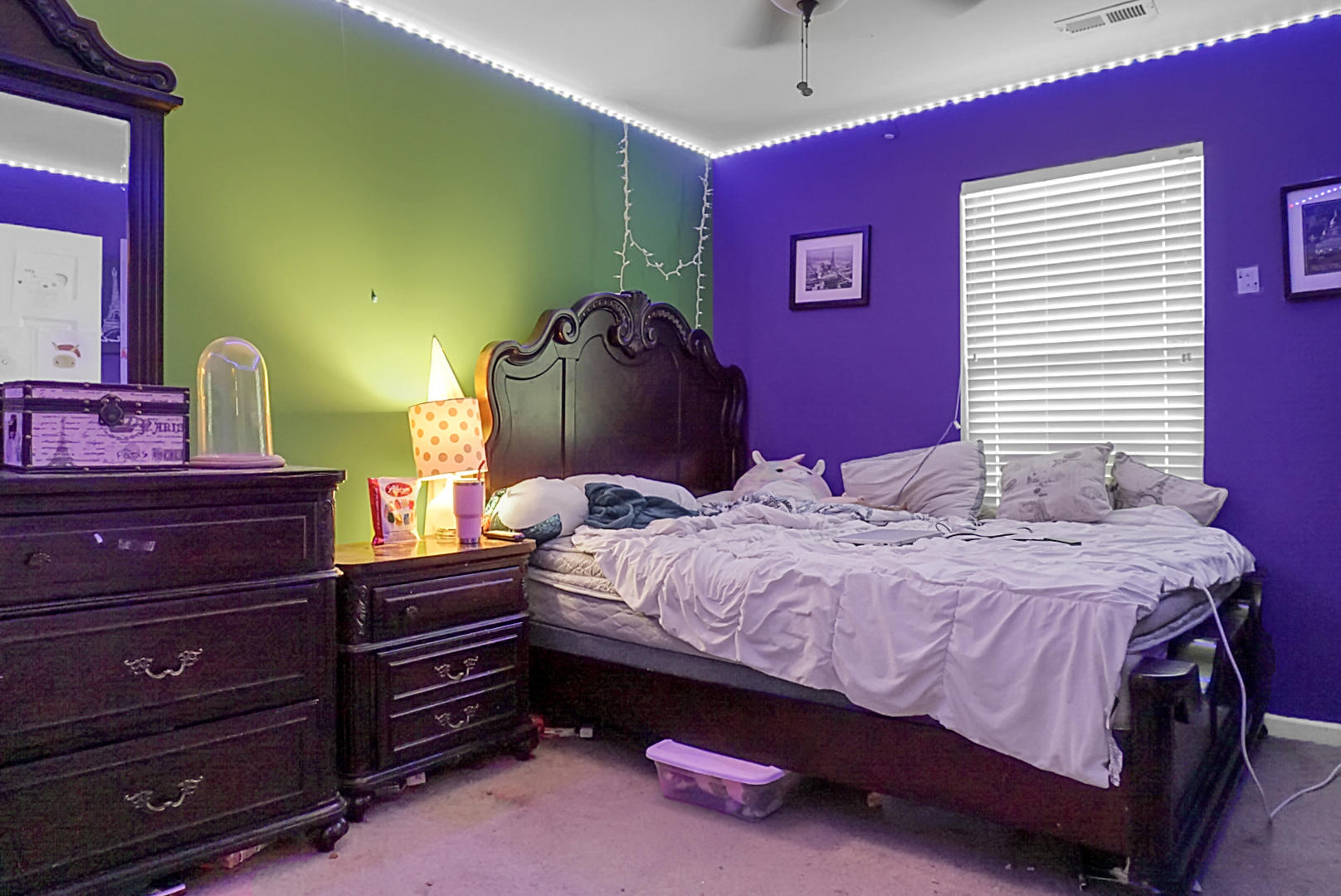 101 Summer View Road Summerville, SC 29486 - Photo 24 of 31 DSC00118