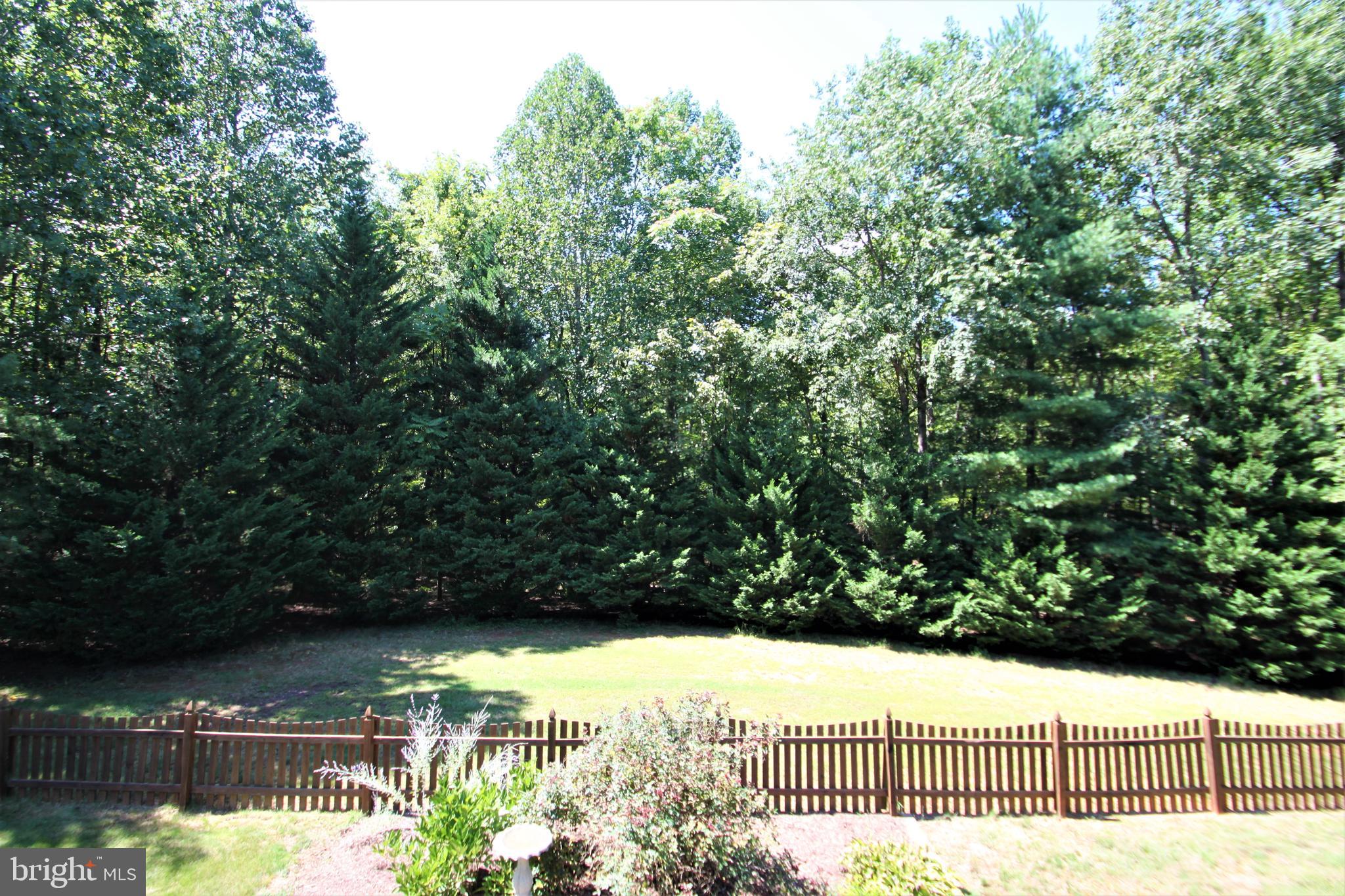 9148 Anchor Road Culpeper, VA 22701 - Photo 31 of 32 Gallery Image 31