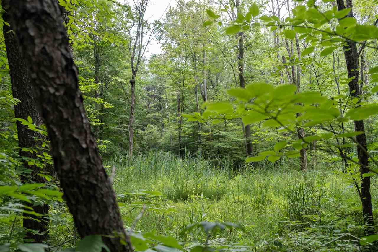 8552 Rathbun Road Birch Run, MI 48415 - Photo 14 of 37