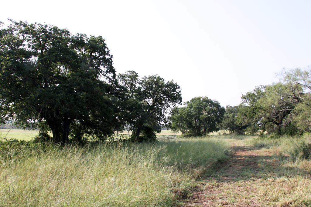 202 East County Road San Saba, TX 76877 - Photo 2 of 7