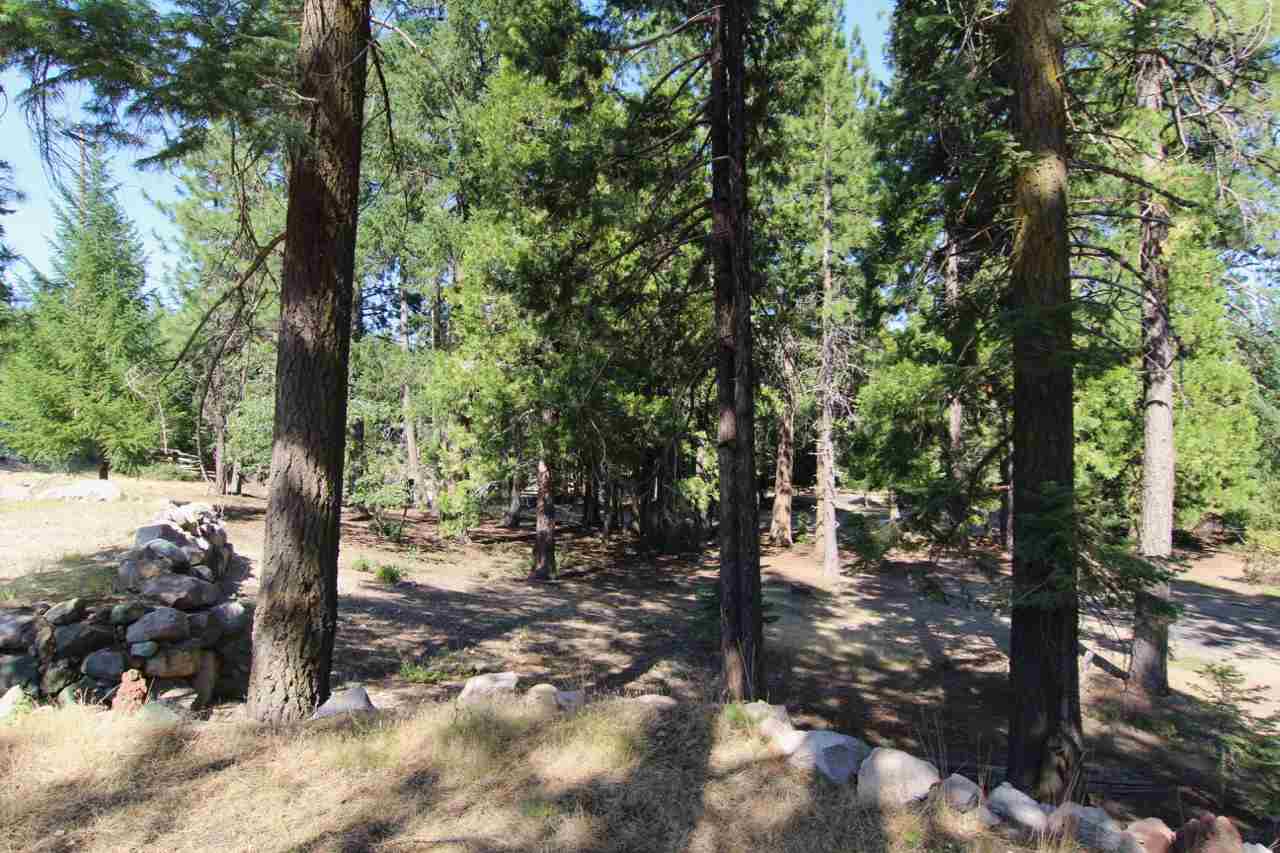 Lot 6 Davis Place Road Mount Shasta, CA 96067 - Photo 11 of 16 Gallery Image 11