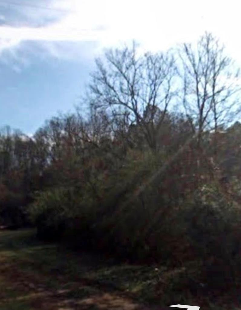 0 Wool Street Charleston, TN 37310 - Photo 1 of 1
