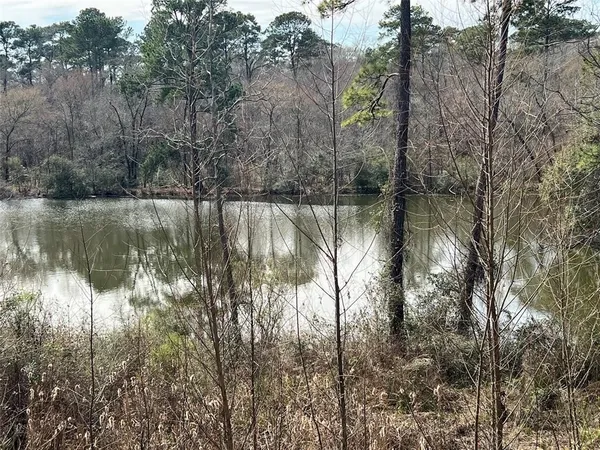 a view of a lake with a forest