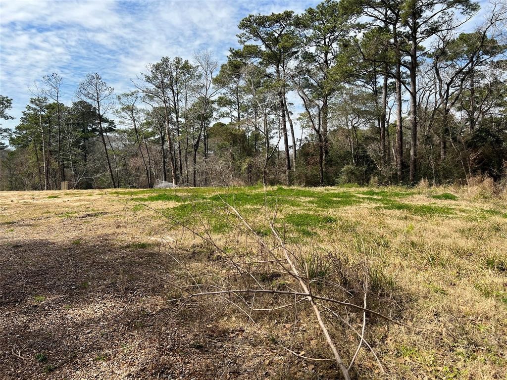 25615 Timber Lakes Drive Spring, TX 77380 - Photo 7 of 8 a view of a green field with trees