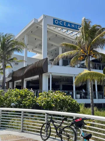 a view of a patio with chairs and a flower plants