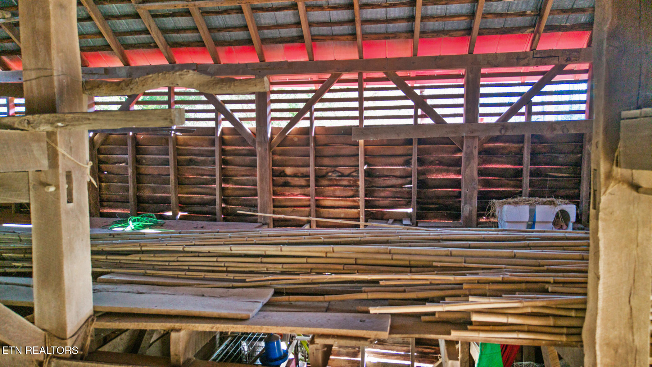 1355 Jackson Hollow Road Mosheim, TN 37818 - Photo 11 of 48 dji_20260119111440_0901_d